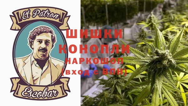 гашик Сатка