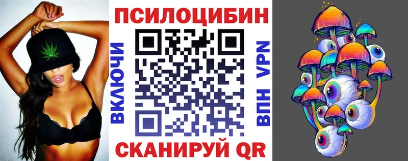 закладки  Межгорье  Псилоцибиновые грибы Cubensis 